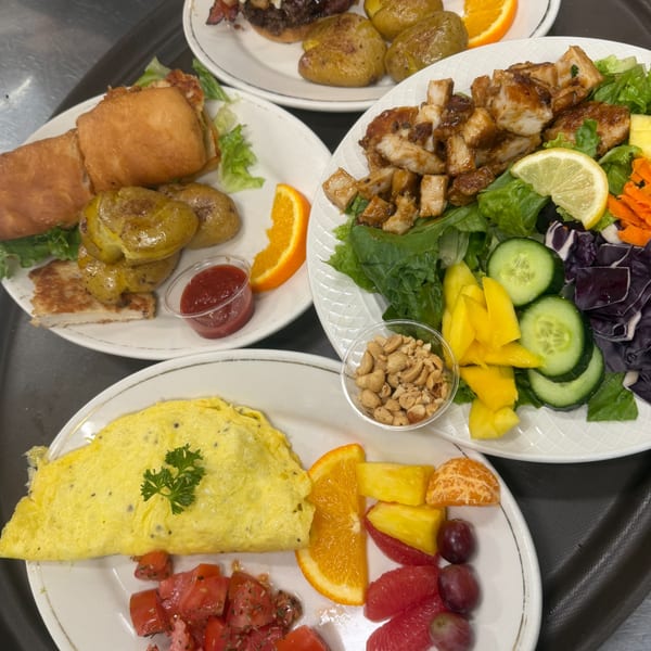 A tray with four plates of food: a sandwich, a chicken salad, an omelet, and a burger.